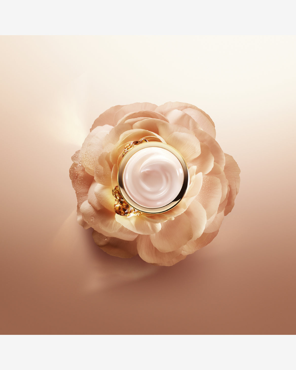 Absolue The Light Cream