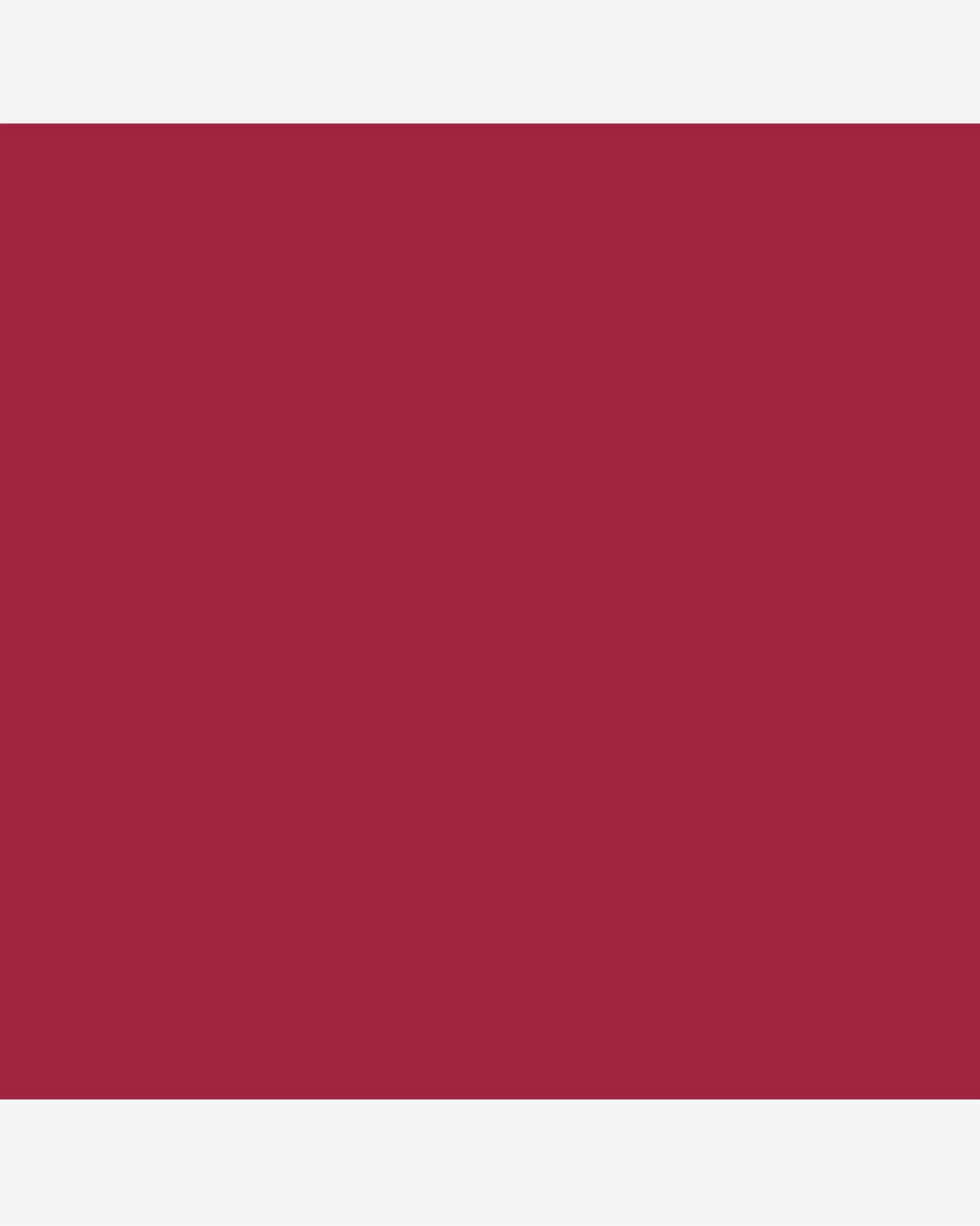 Labsolu Rouge Intimatte