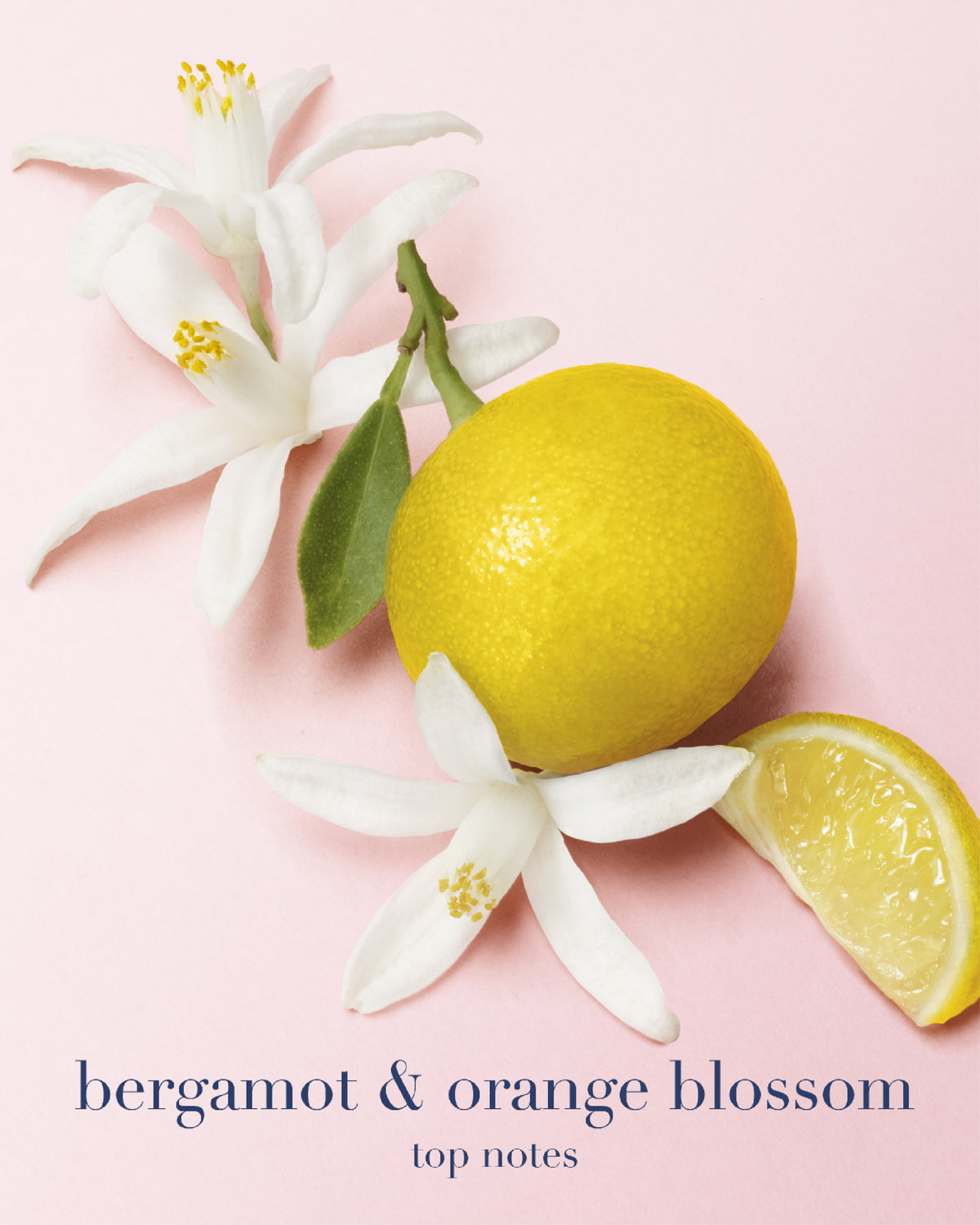 My Way Parfum