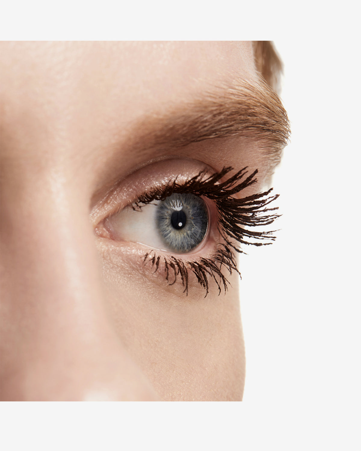 Lash Clash