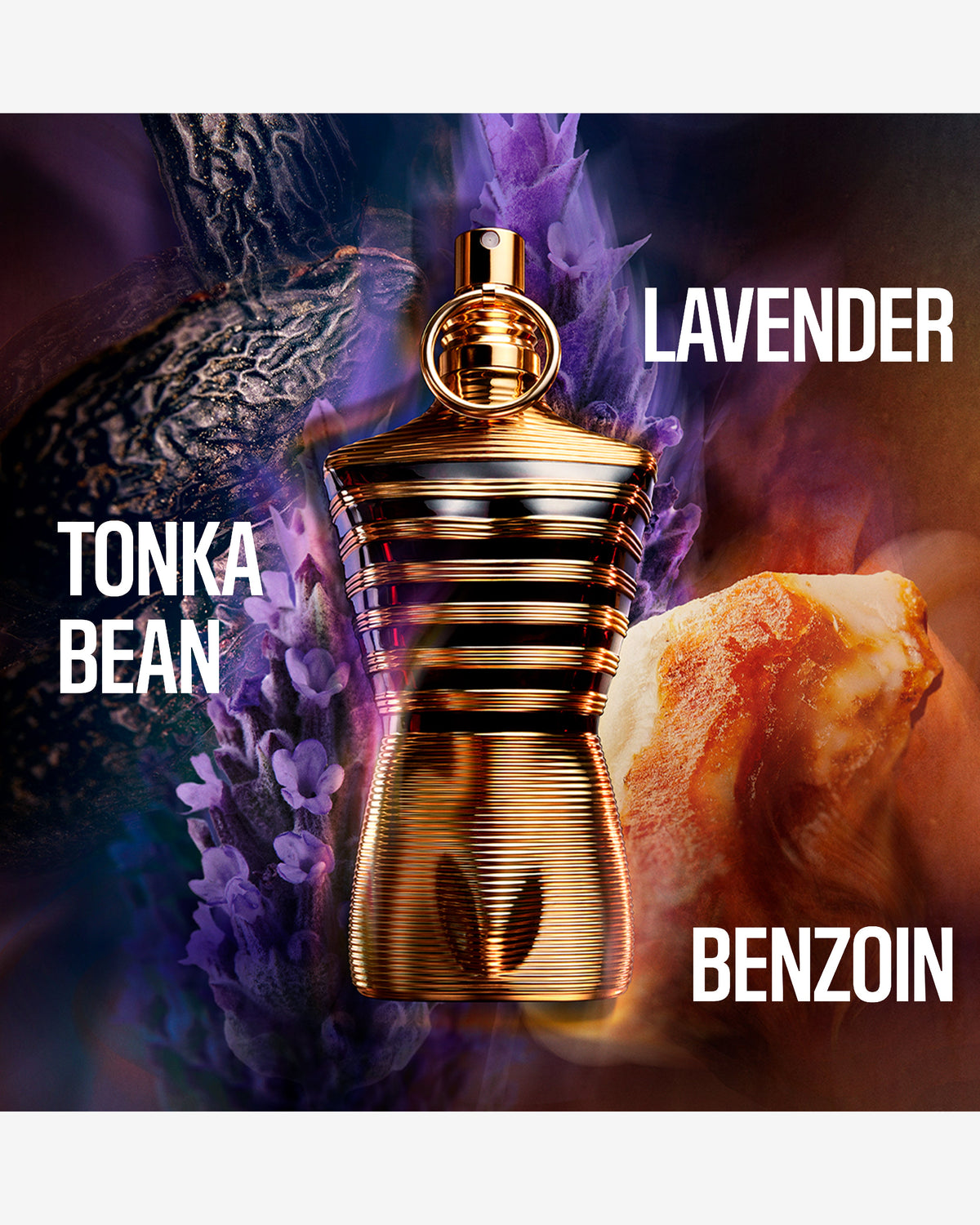 Male Elixir Parfum