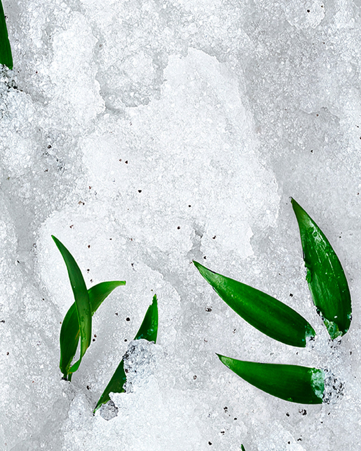 Dry Oil Huile Prodigieuse® Neroli With Gift Reve De The Body Revitalising Scrub