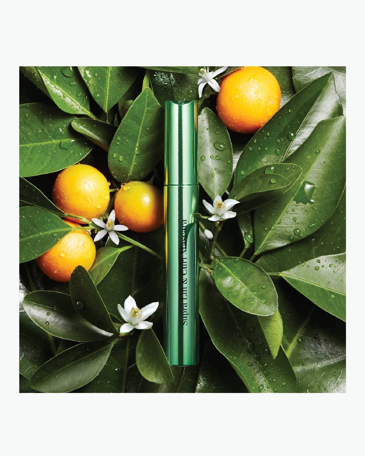 Supra Lift & Curl Mascara