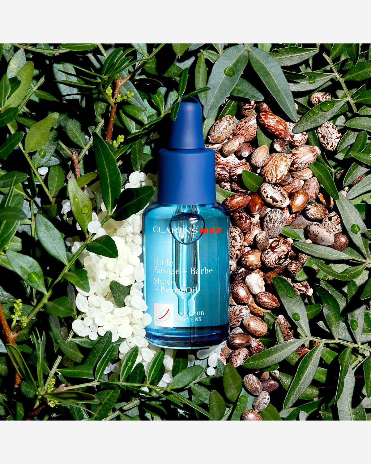 Clarinsmen Shave+Beard Oil