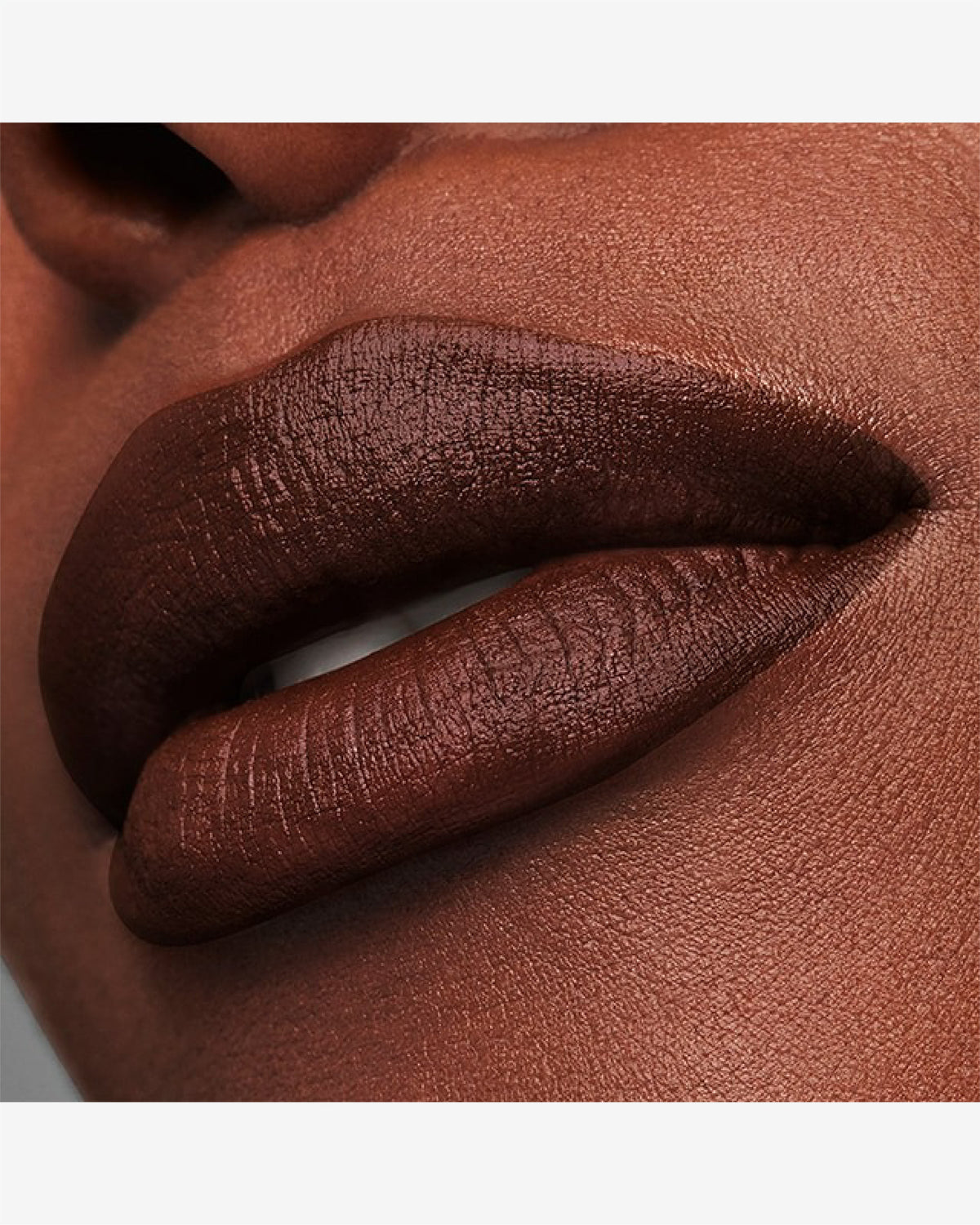 Pure Colour Matte Lipstick 3.5g